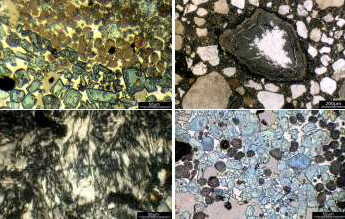 Block of four thumbnail microscope images