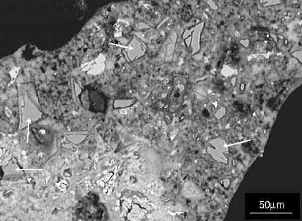 SEM image of polished section showing a detail - a cell wall - of a block made with cement, lime and sand mix.