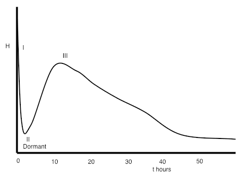 Die Grafik zeigt eine typische Wärmeentwicklung, aufgetragen gegen die Zeit vom Mischen bis zu 60 Stunden