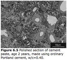 Estimating the water-cement ratio of hardened concrete
