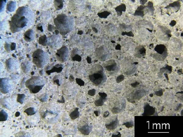 Detailed view of cellular pore structure in an aircrete block.