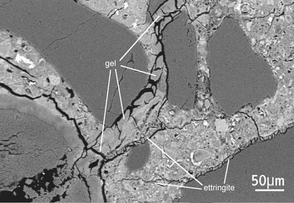 Figure 3 Detail of chert particle in previous image, showing alkali-silica gel extruded into cracks within the concrete. Ettringite is also present within some cracks.