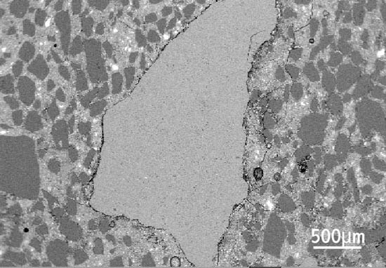 Figure 3 Delayed ettringite formation: scanning electron microscope image of limestone aggregate particle.