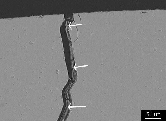 SEM image showing a detail of the crack in Figure 2; the crack contains alkali silicate gel (arrowed).