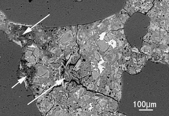 Figure 1 Scanning electron microscope image of sulfate attack in concrete.
