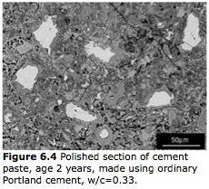 Estimating the water-cement ratio of hardened concrete